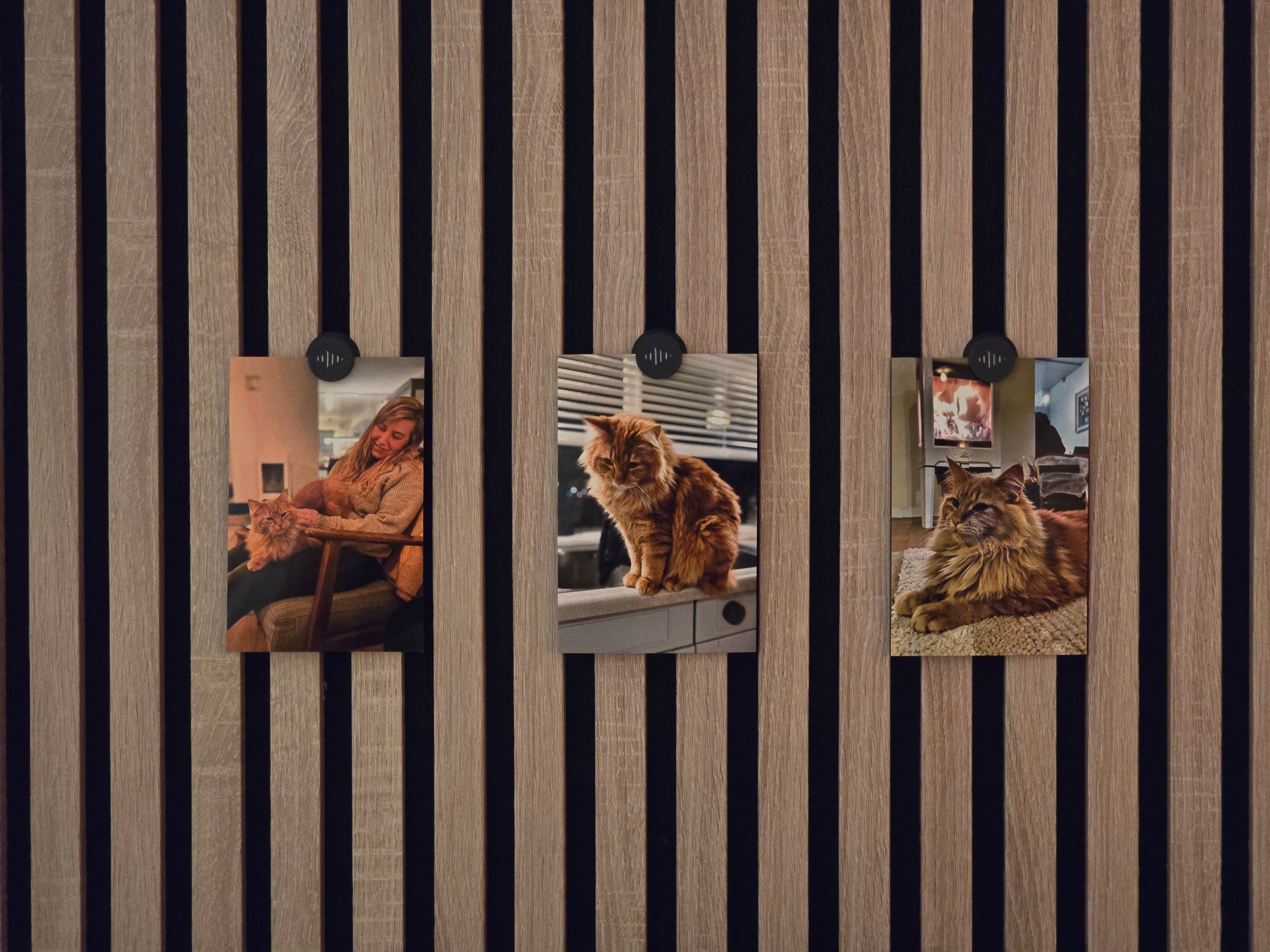 Magneetclip voor akoestische panelen - 4-pack - Installatietype: Muurclip