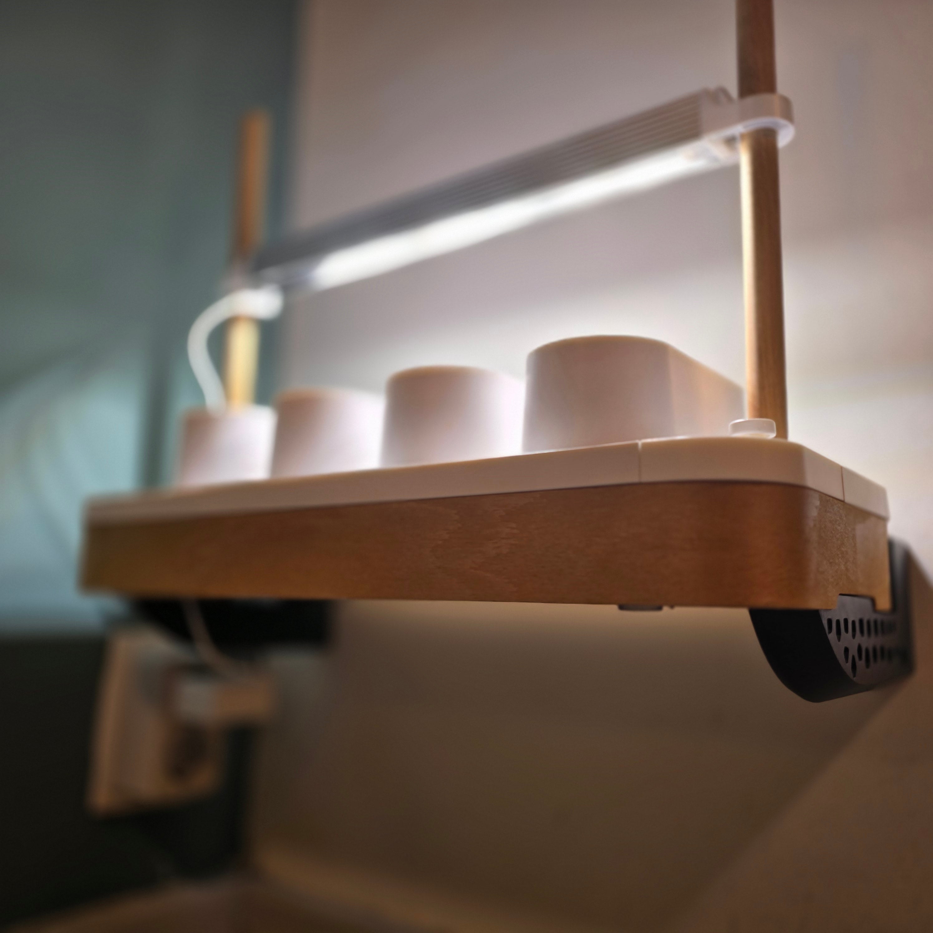 AUK Mini-Wandhalterungen – Universelle Wandhalterung – von WallTune