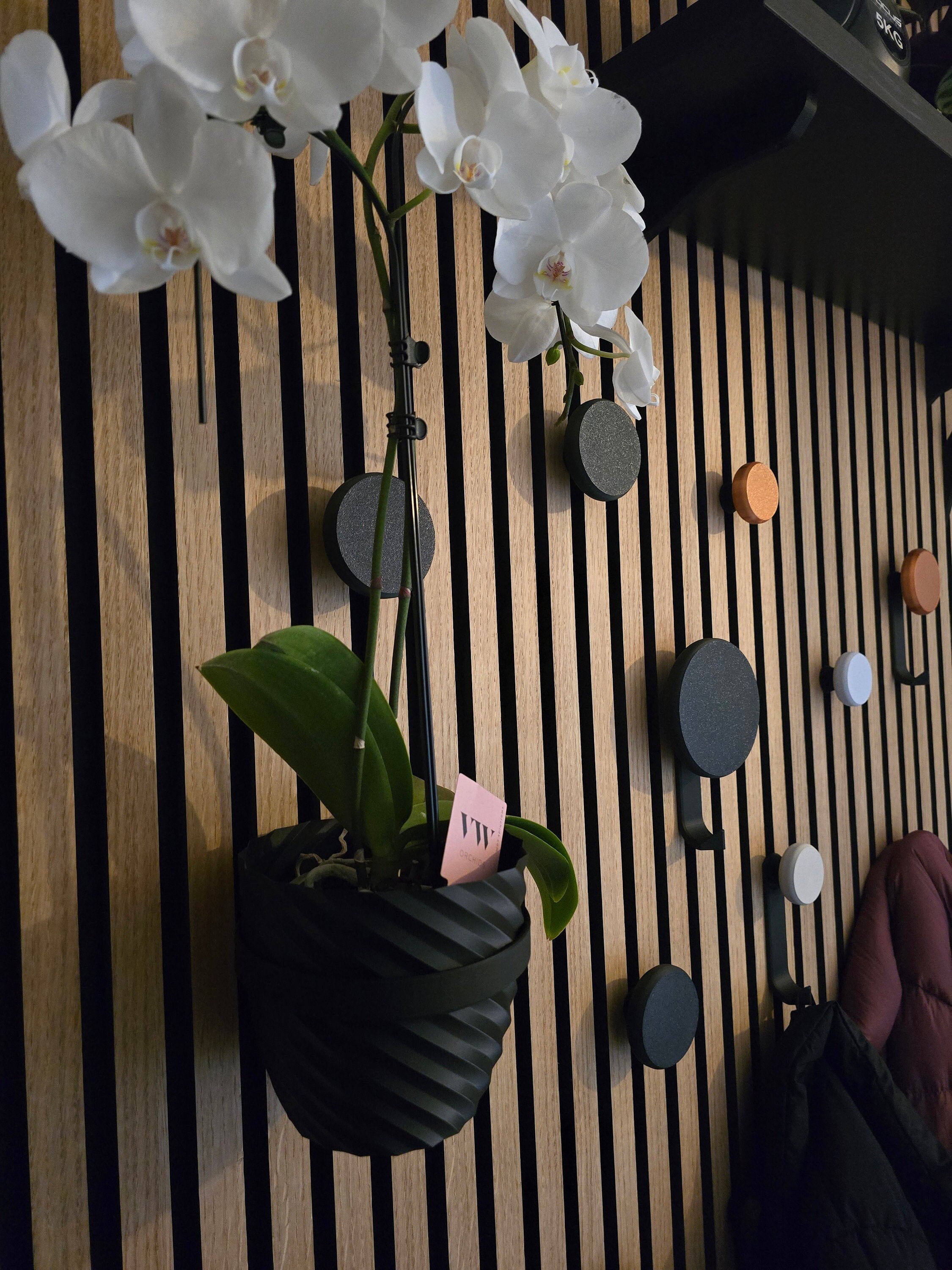 Bijpassende vaas voor WallTune Plant Ring