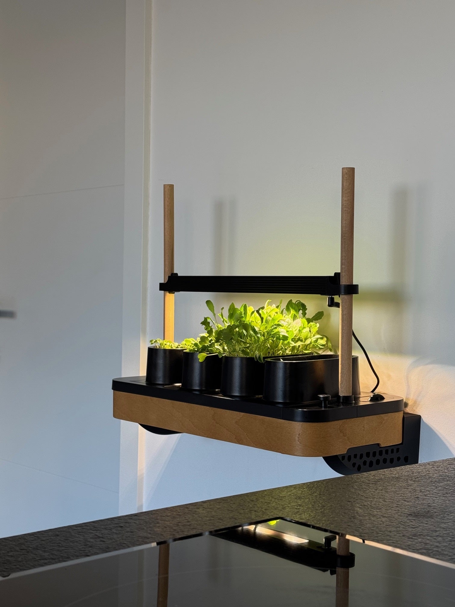 AUK Mini-Wandhalterungen – Universelle Wandhalterung – von WallTune
